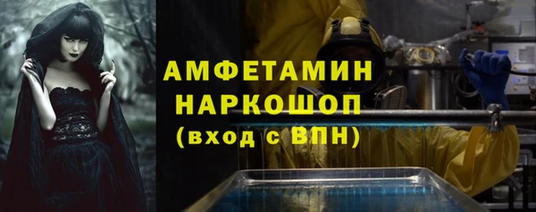 прущие грибы Осташков
