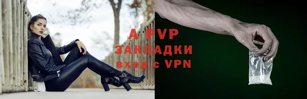 прущие грибы Осташков