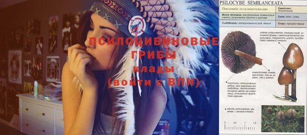 спиды Абдулино