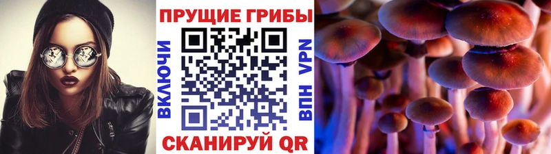Галлюциногенные грибы Cubensis Хилок